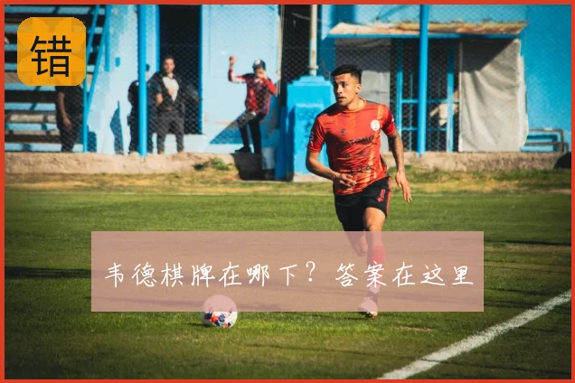 韦德棋牌在哪下？答案在这里